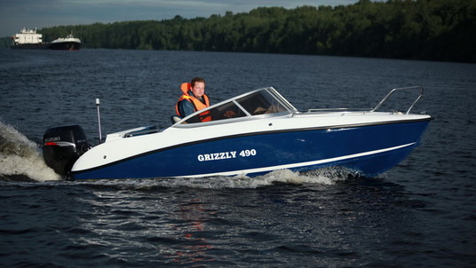 Grizzly 490 DC