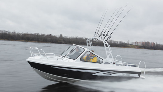 Grizzly Pro 580 Targa