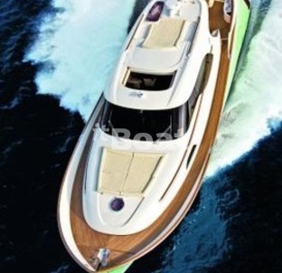 Mochi Craft Dolphin 64