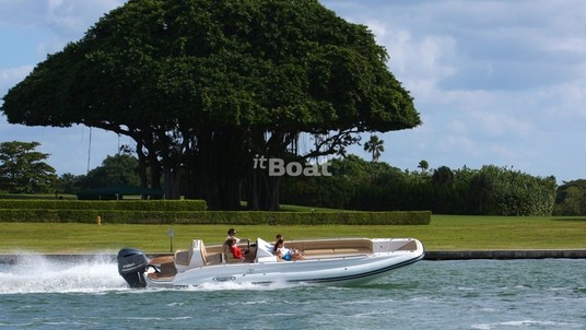 Novurania Chapman 22