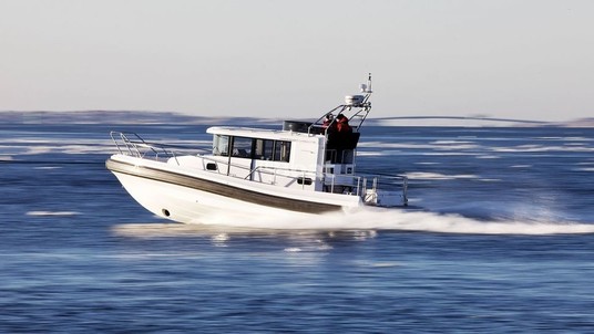 Paragon 31 Flybridge