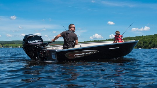 Princecraft Springbok DL BT