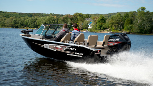 Princecraft Amarok DLX WS