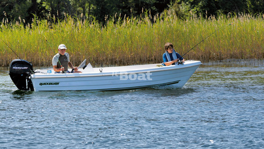 Quicksilver Fish 440