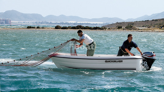 Quicksilver Fish 410