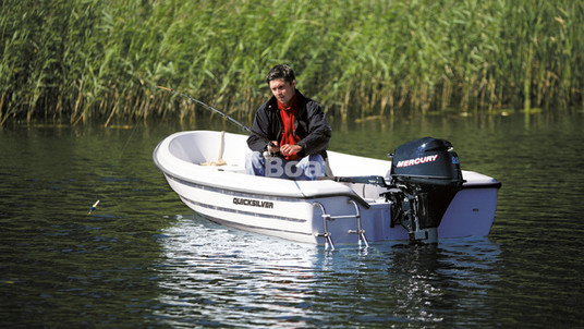 Quicksilver Fish 360