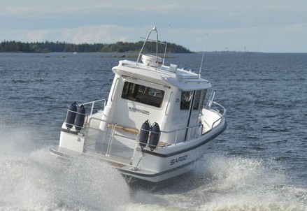 Sargo 25