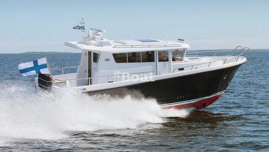 Sargo 36