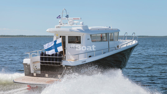 Sargo 36