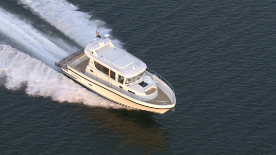 Sargo 34