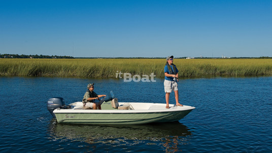 Scout Boats 151 Series