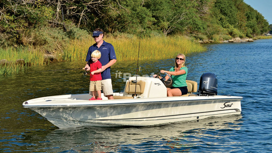 Scout Boats 177 Sport