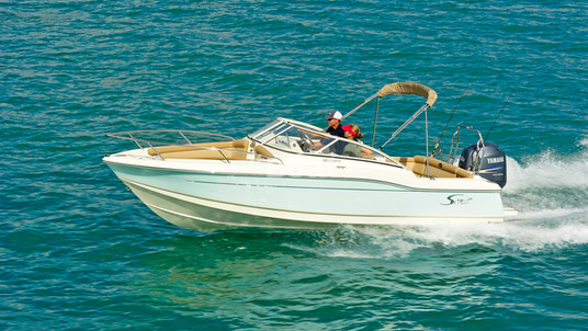 Scout Boats 210 Dorado