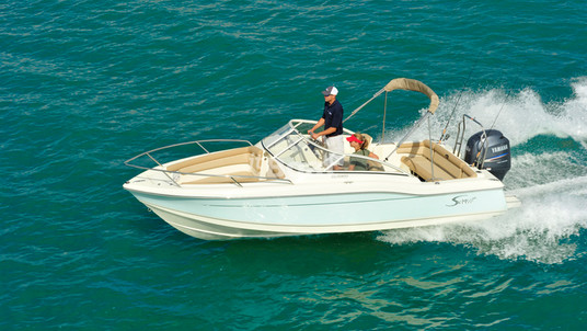 Scout Boats 210 Dorado