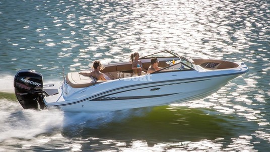 Sea Ray SPX 210 OB