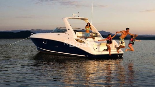 Sea Ray 310 Sundancer