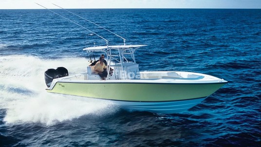 SeaVee 290