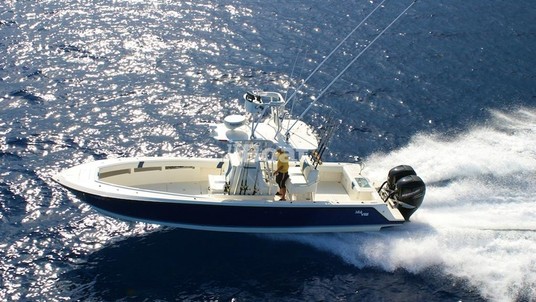 SeaVee 320