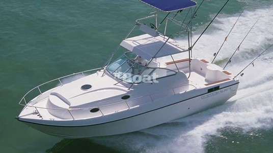 Silvercraft 35SF