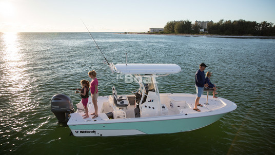 Wellcraft 221 Bay