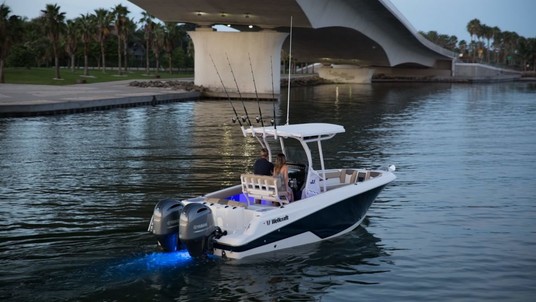 Wellcraft 242 Fisherman