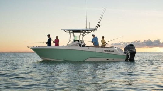Wellcraft 262 Fisherman