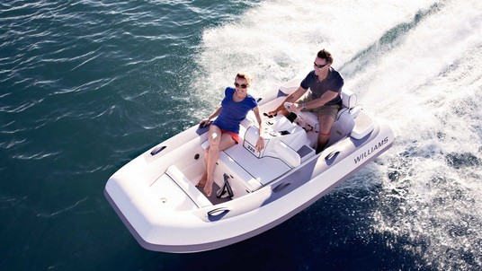 Williams Turbojet 325