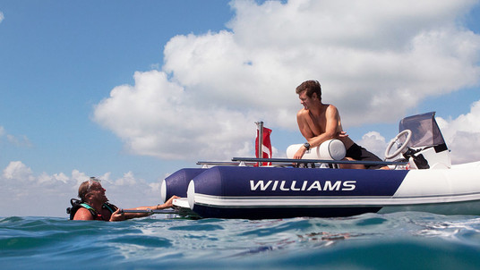 Williams SPORTJET 460