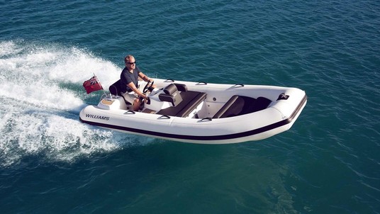 Williams Turbojet 445