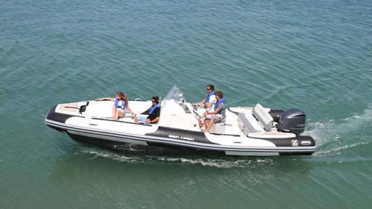Zodiac Sea Hawk 800