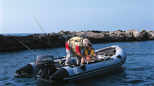 Zodiac Classic Mark II Alu