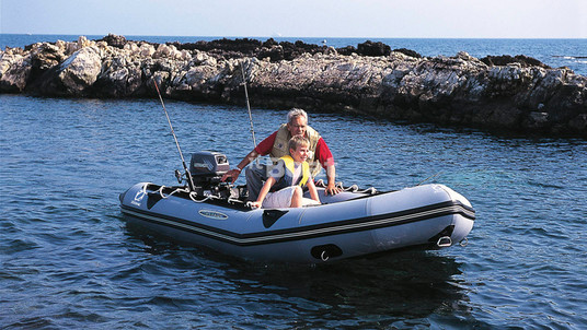 Zodiac Classic Mark II Alu