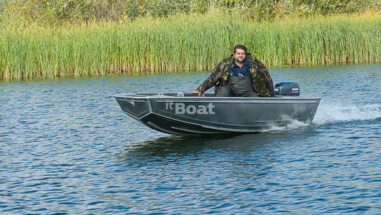 Аква Терра Плотва 3.9