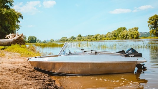 Аква Терра Плотва BS 3.9