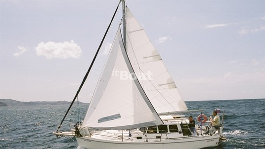 Haber Yachts Haber 800 C4