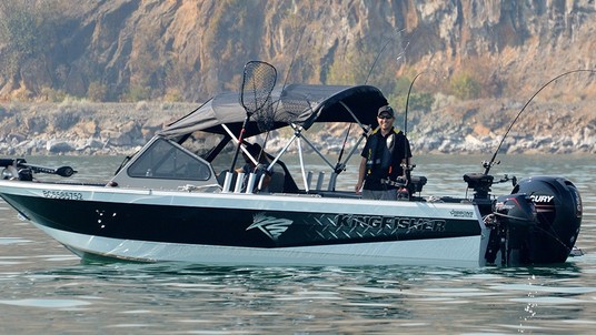 KingFisher 2025 Falcon