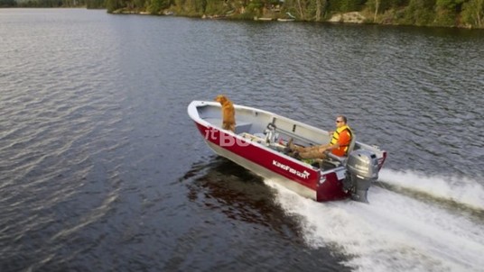 KingFisher 1825 Falcon TL