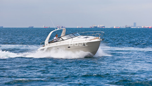 Bavaria Sport 31