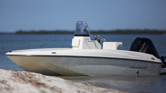 Bayliner Element CC5