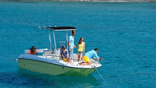 Bayliner Element CC7