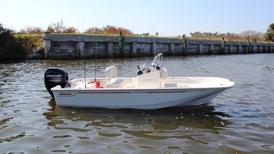 Boston Whaler 150 Montauk 2018