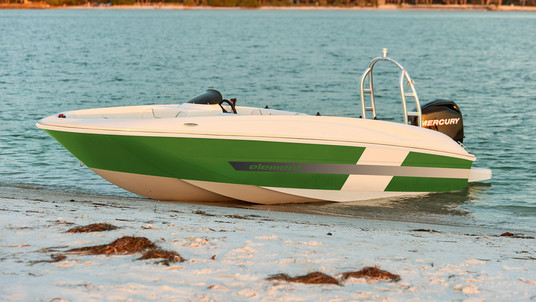 Bayliner Element E5