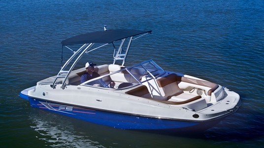Bayliner 195 Deck Boat