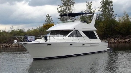 Bayliner 3988