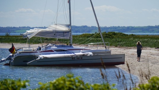 Dragonfly 28 Performance