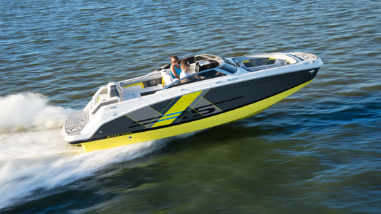 Four Winns HD 220 RS