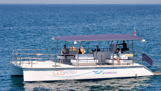 Lady Hawke Catmarine 39