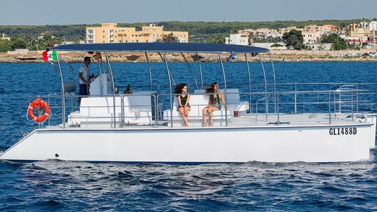 Lady Hawke Catmarine 39