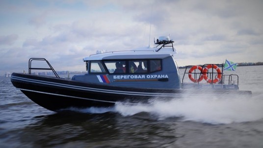 Webmaster RM-860 eagle