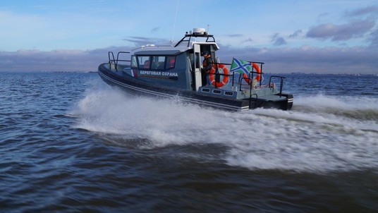 Webmaster RM-860 eagle